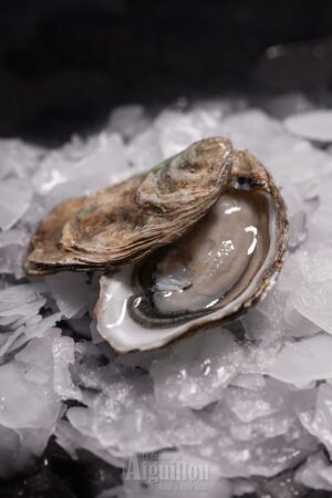 Huitres N°2 Bassin Arcachon