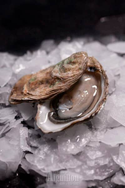 commandez votre Bourriche N°2