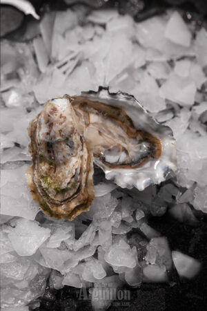 Huitres N°3 Bassin Arcachon