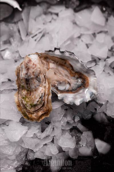 commandez votre Bourriche N°3