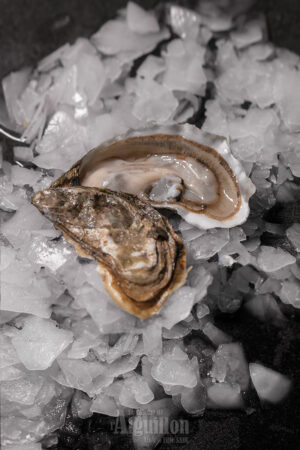 Huitres N°4 Bassin Arcachon