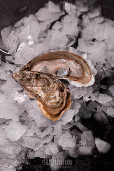 commandez votre Bourriche N°4